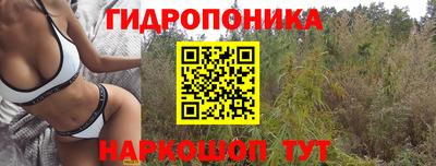 Альфа ПВП Пыть-Ях