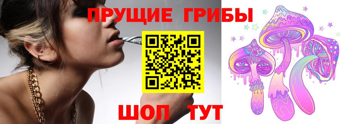 Рубцовск  Псилоцибиновые грибы Magic Shrooms  Вход с VPN  закладки  Псилоцибиновые грибы Psilocybe 